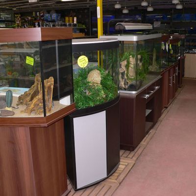 aquarium-poisson.jpg 